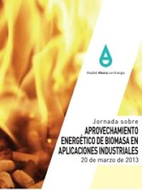 Jornada sobre Aprovechamiento Energético de Biomasa en Aplicaciones Industriales. 